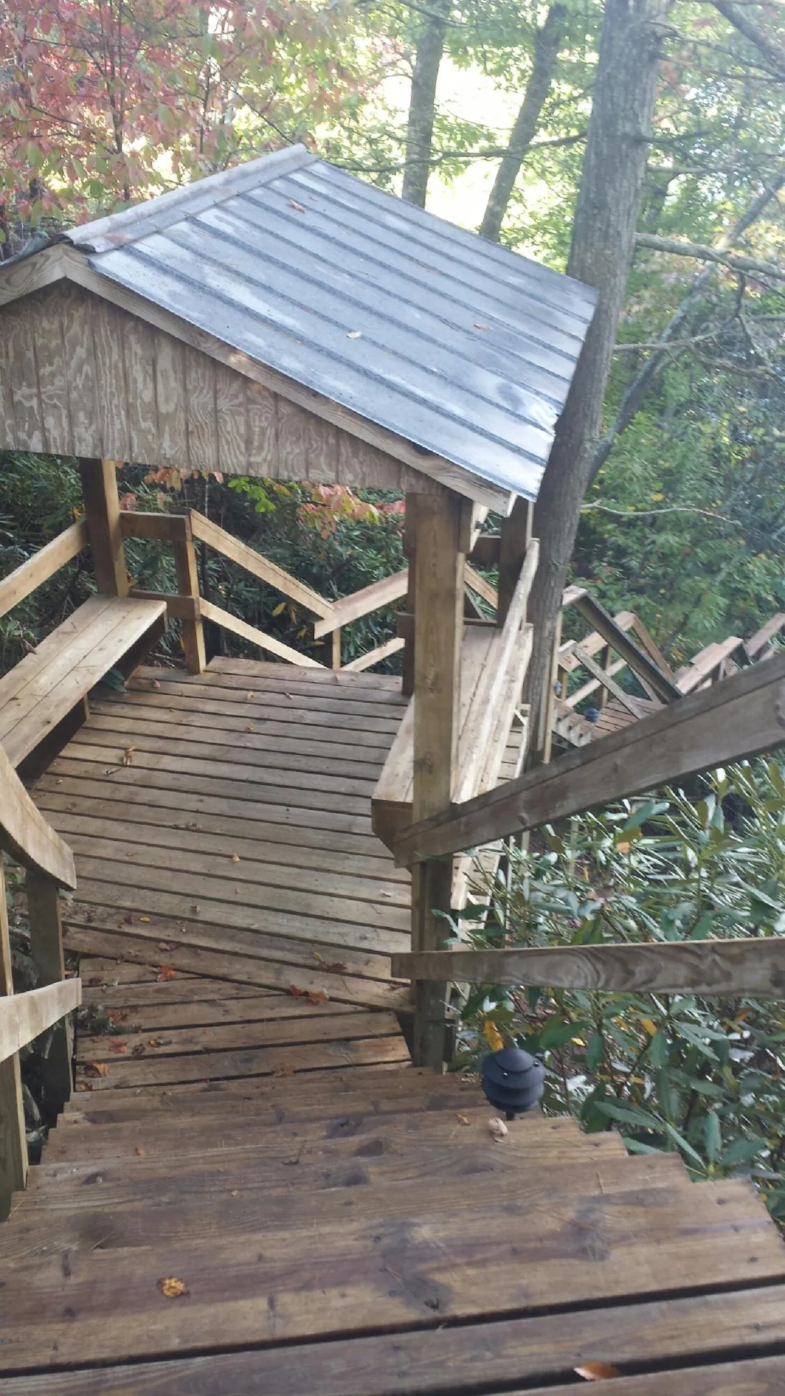 Metal roofed shelter over wooden steps on a wooded walkway — Skylight Repair & Installation work by our crew in Meadow Grove